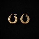 1100 7004 EARRINGS